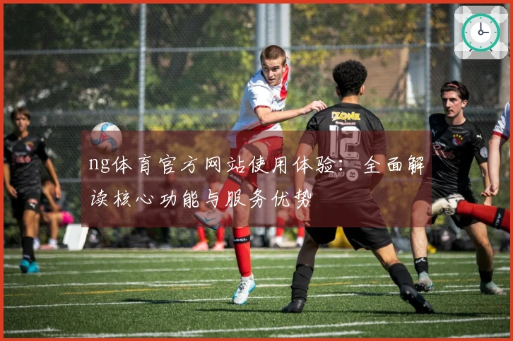 ng体育官方网站使用体验：全面解读核心功能与服务优势