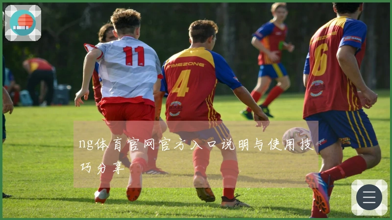 ng体育官网官方入口说明与使用技巧分享