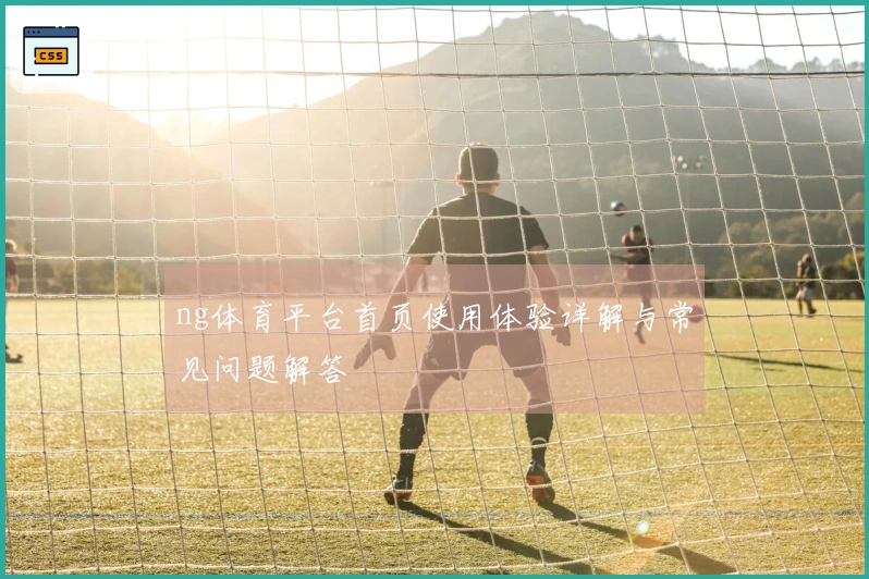 ng体育平台首页使用体验详解与常见问题解答