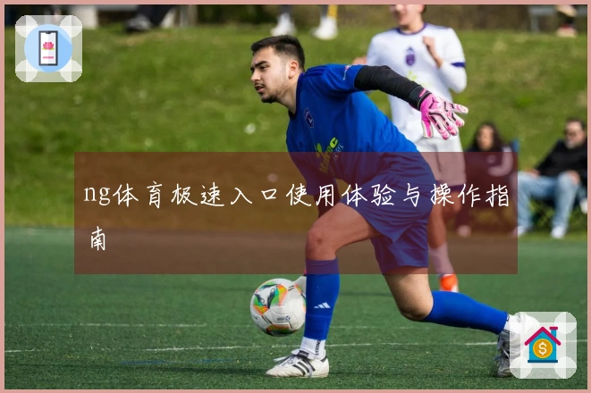 ng体育极速入口使用体验与操作指南