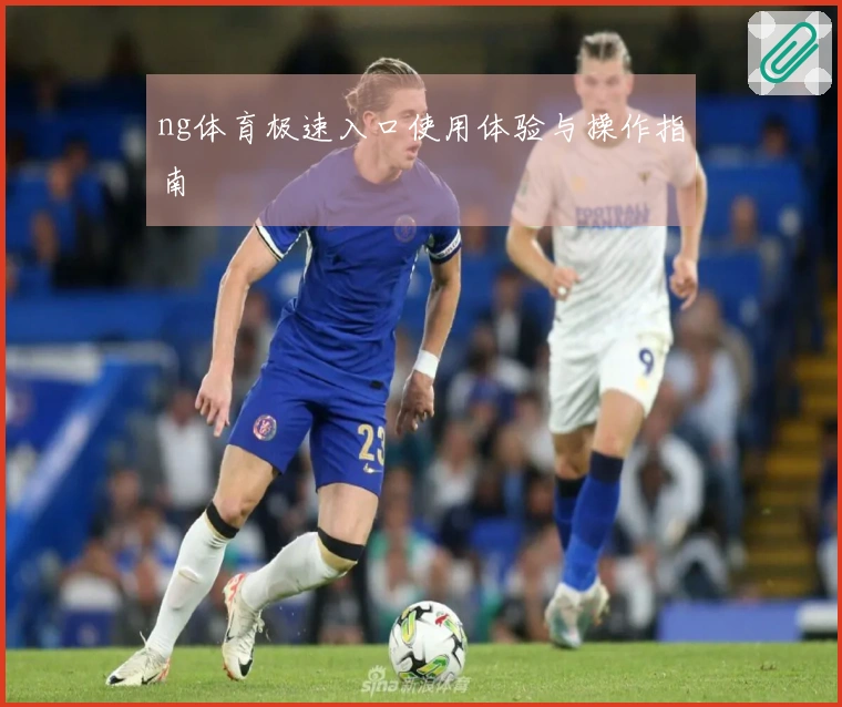 ng体育极速入口使用体验与操作指南