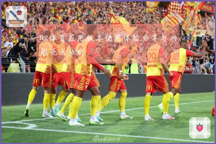 ng体育应用版本使用体验分享与功能亮点分析