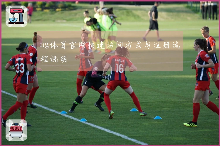 ng体育官网快速访问方式与注册流程说明