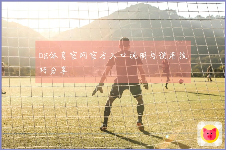 ng体育官网官方入口说明与使用技巧分享