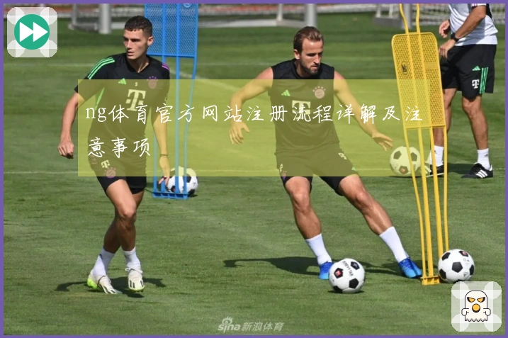 ng体育官方网站注册流程详解及注意事项