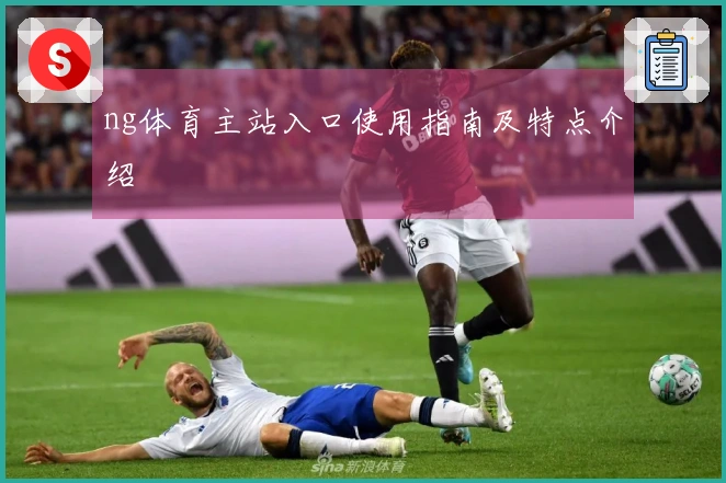 ng体育主站入口使用指南及特点介绍