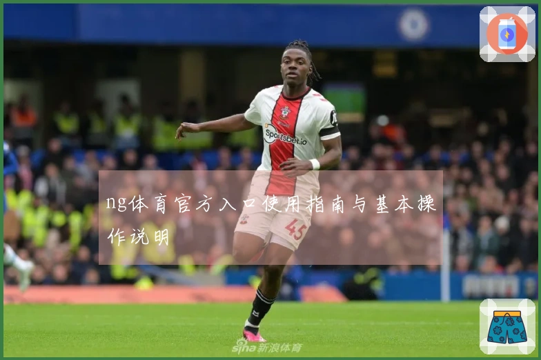 ng体育官方入口使用指南与基本操作说明