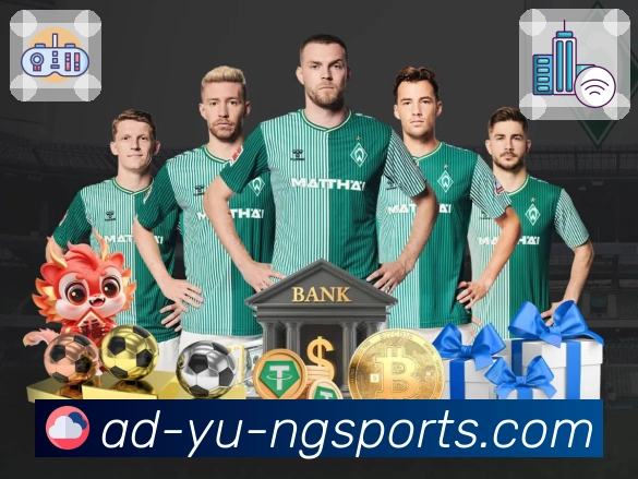 体育直播接口页面结构示意